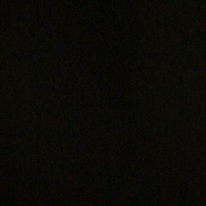 Meet your Posher, Roady